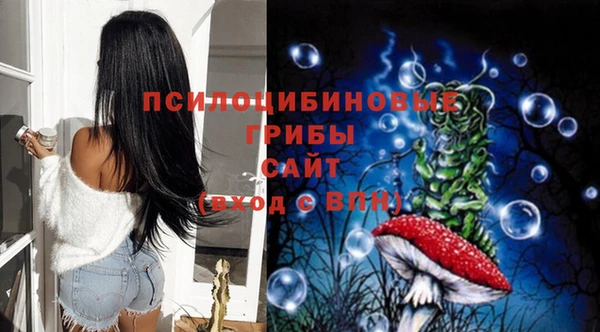 соль ск Белокуриха