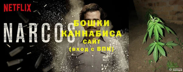 соль ск Белокуриха