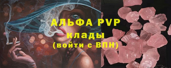 соль ск Белокуриха
